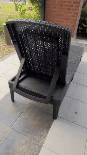 video detalle